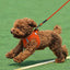 JOYTALE Dog Mesh Vest Harness