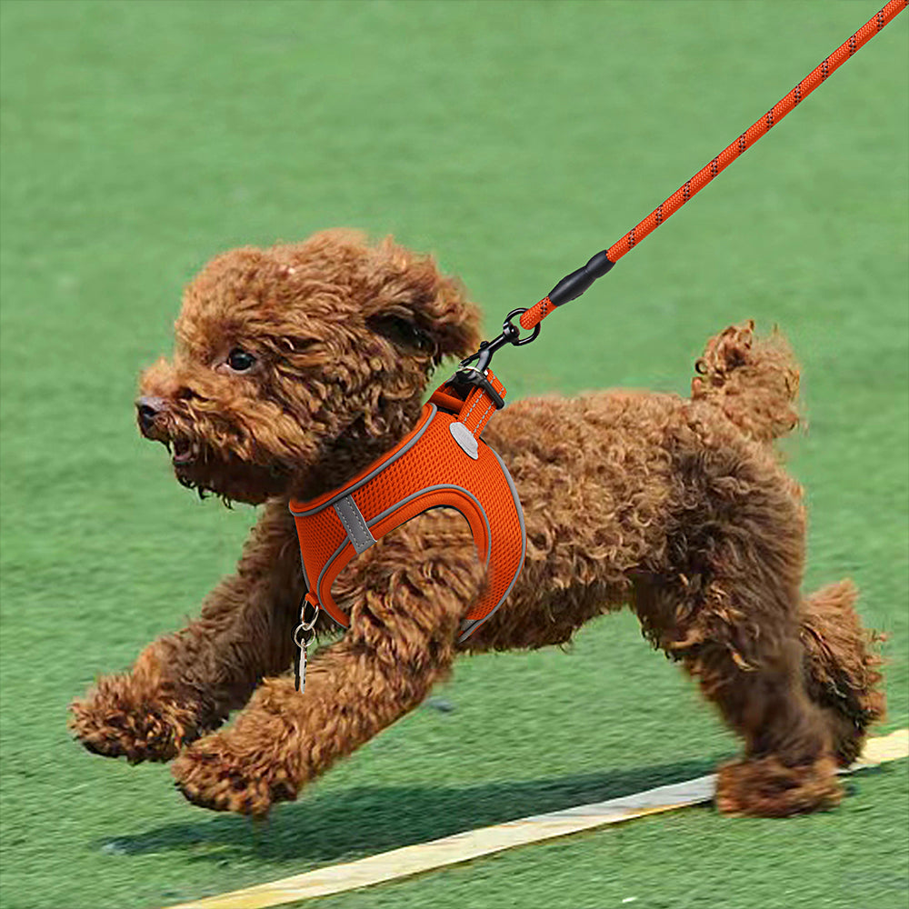 JOYTALE Dog Mesh Vest Harness