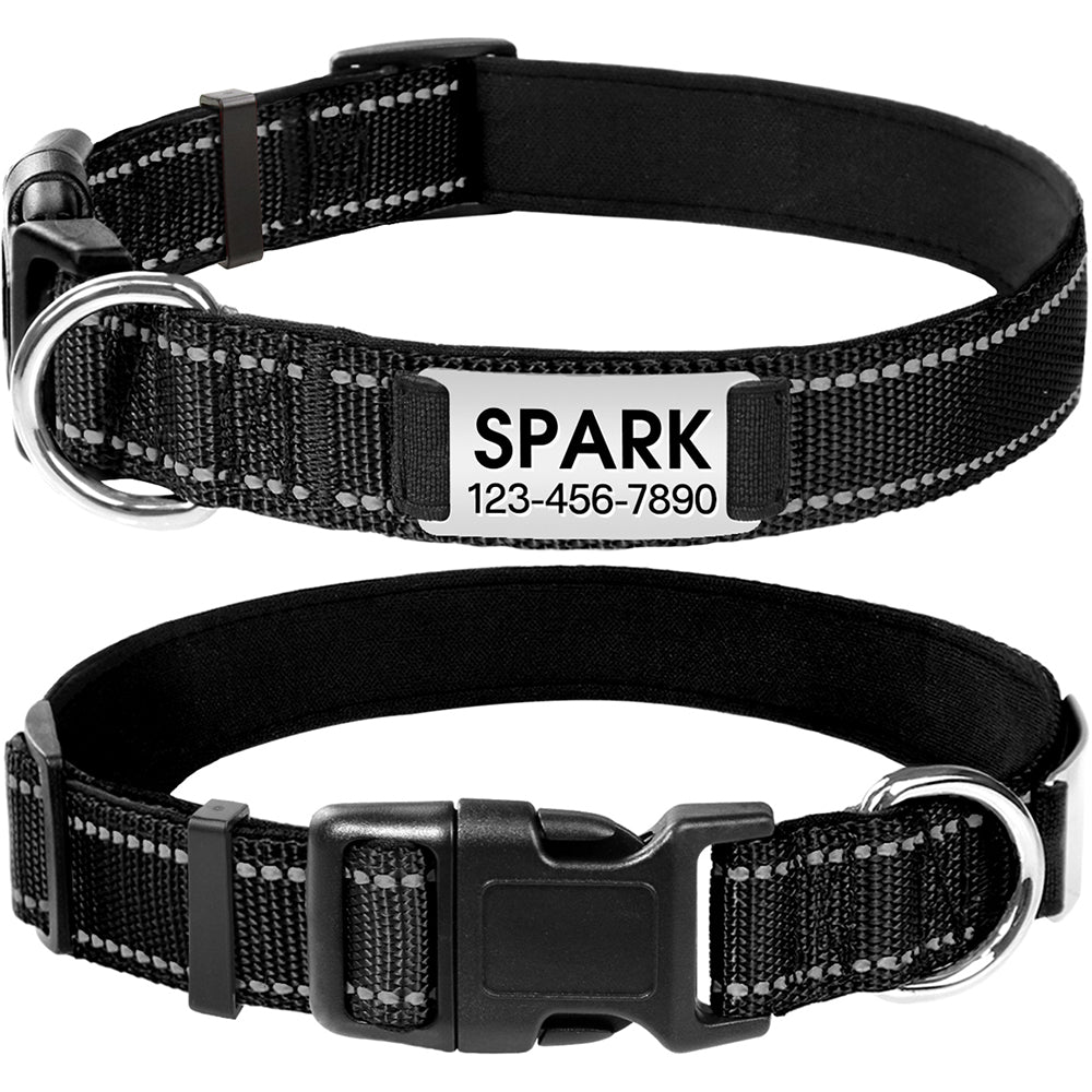 JOYTALE Personalized Dog Collar