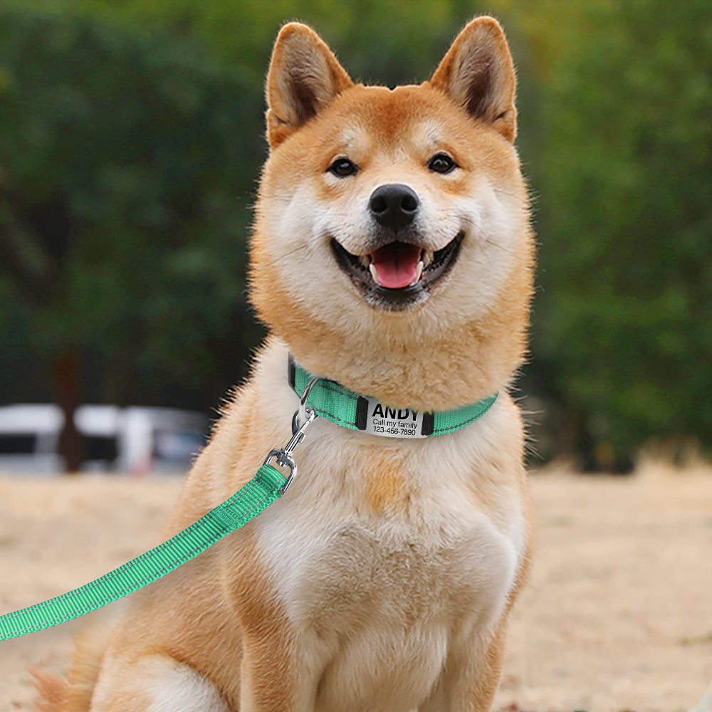 JOYTALE Personalized Dog Collar