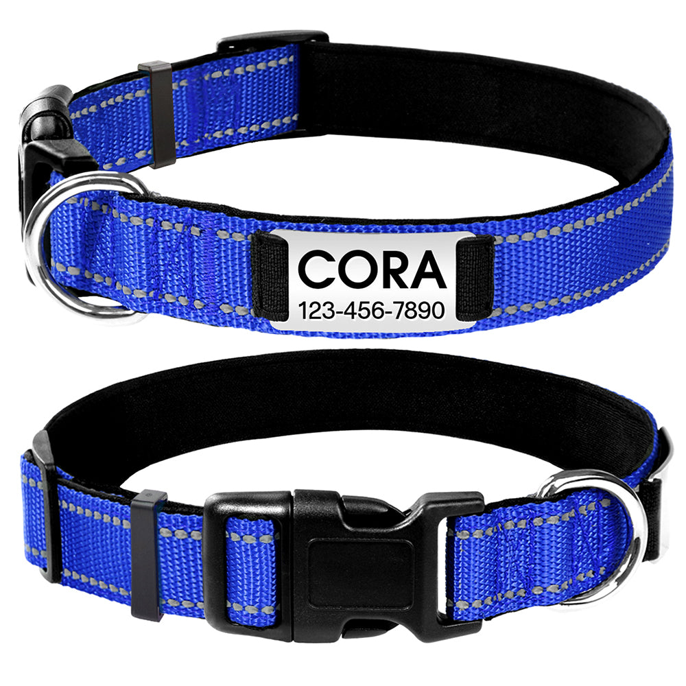 JOYTALE Personalized Dog Collar