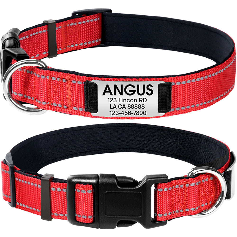 JOYTALE Personalized Dog Collar