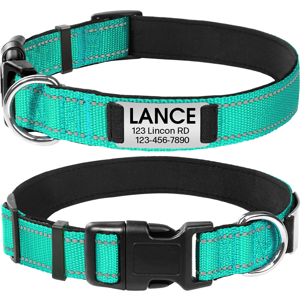JOYTALE Personalized Dog Collar