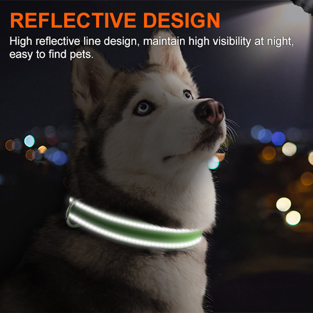 JOYTALE Personalized Dog Collar