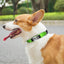 JOYTALE Personalized Dog Collar