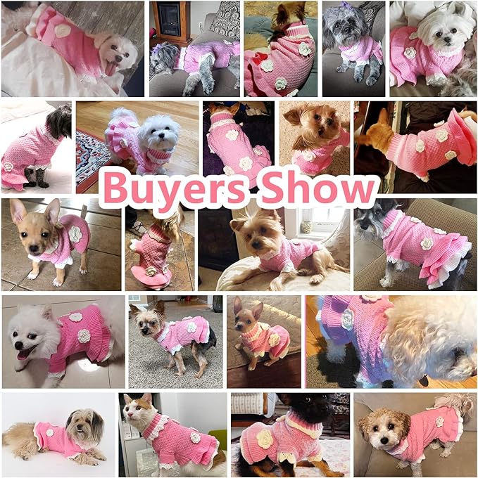 JOYTALE Small Dog Sweater, Dog Clothes for Small Dogs Girls Boys, Soft Warm Turtleneck Dress