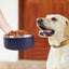 JOYTALE Pet Water Bowls，Stainless Steel Non-slip Pet Feeding and Drinking Bowls