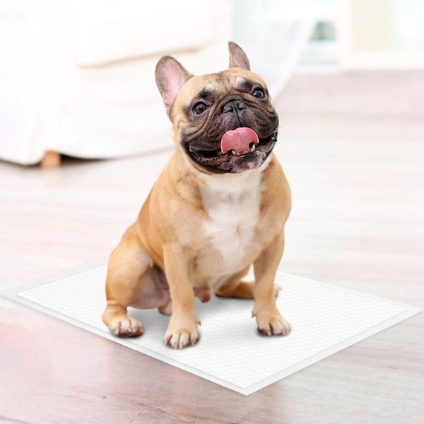 JOYTALE Disposable Dog Pee Pads