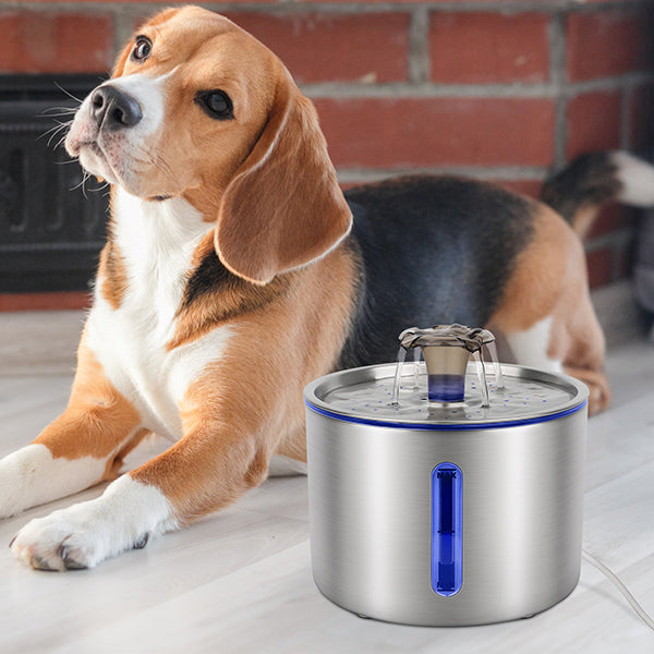 JOYTALE Stainless Steel Pet Water Fountain with Filter